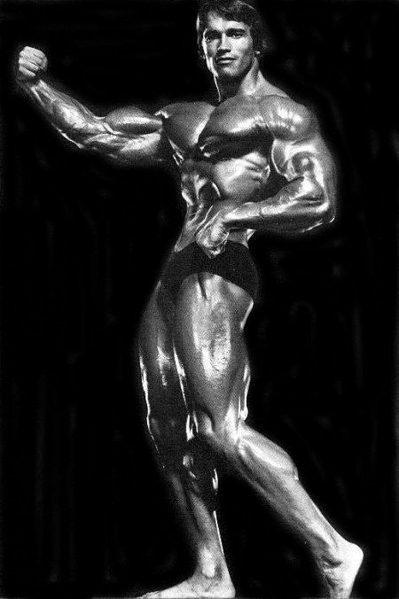 The Professional Bodybuilder Of Century Mr Universe Arnold Schwarzenegger By Siddhesh Sonawdekar 0576