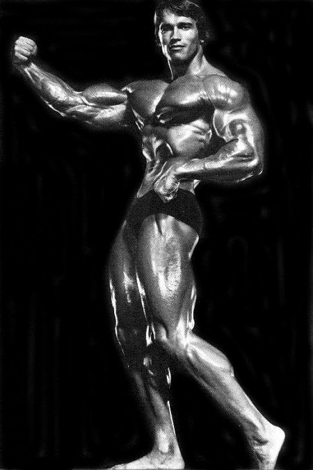 The Professional Bodybuilder of Century Mr Universe ARNOLD SCHWARZENEGGER The Professional Bodybuilder of Century Mr Universe ARNOLD SCHWARZENEGGER