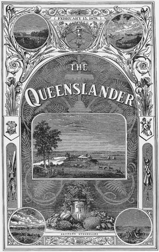 The Queenslander