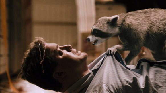 The Raccoons and the Lost Star movie scenes Brendan Fraser left in a scene from 2010 s Furry Vengeance a movie ahead