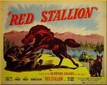 The Red Stallion The Red Stallion 1947 Lesley Selander Robert Paige Noreen Nash