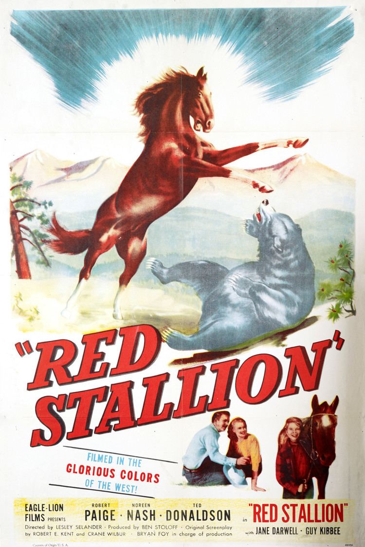 The Red Stallion wwwgstaticcomtvthumbmovieposters484p484pv