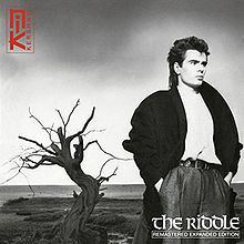 The Riddle (album) httpsuploadwikimediaorgwikipediaenthumbc