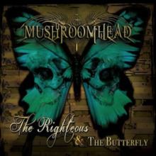 The Righteous & the Butterfly httpsuploadwikimediaorgwikipediaenthumb7