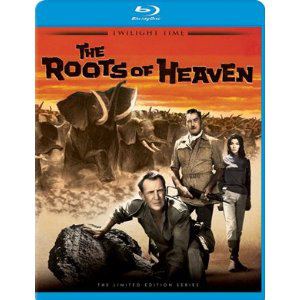 The Roots of Heaven DVD Savant Bluray Review The Roots of Heaven