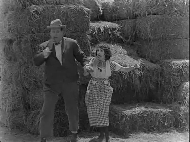 The Scarecrow (1920 film) The Scarecrow 1920 film Wikipedia