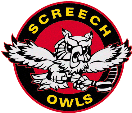 The Screech Owls ScreechOwls Online