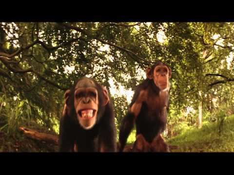 The Second Jungle Book: Mowgli & Baloo Rudyard Kiplings The Second Jungle Book Mowgli Baloo Trailer