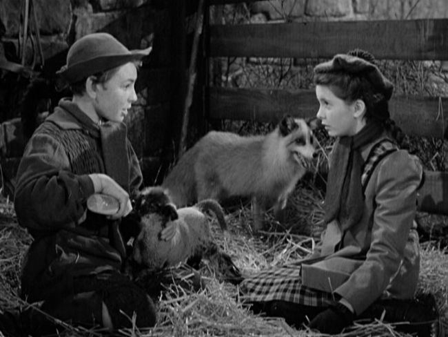 The Secret Garden (1949 film) The Secret Garden 1949