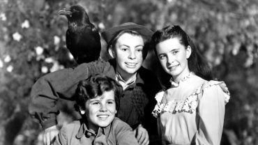 The Secret Garden (1949 film) The Secret Garden 1949 Cast Ratings Recommendations Miji