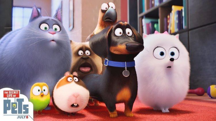 The Secret Life of Pets The Secret Life Of Pets Trailer 3 HD Illumination YouTube