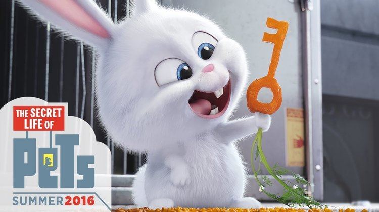 The Secret Life of Pets The Secret Life of Pets Kevin Hart Is Snowball HD Illumination