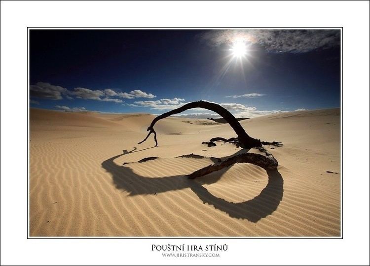 The Shadow of the Desert The shadow of the desert by JiriStransky on DeviantArt