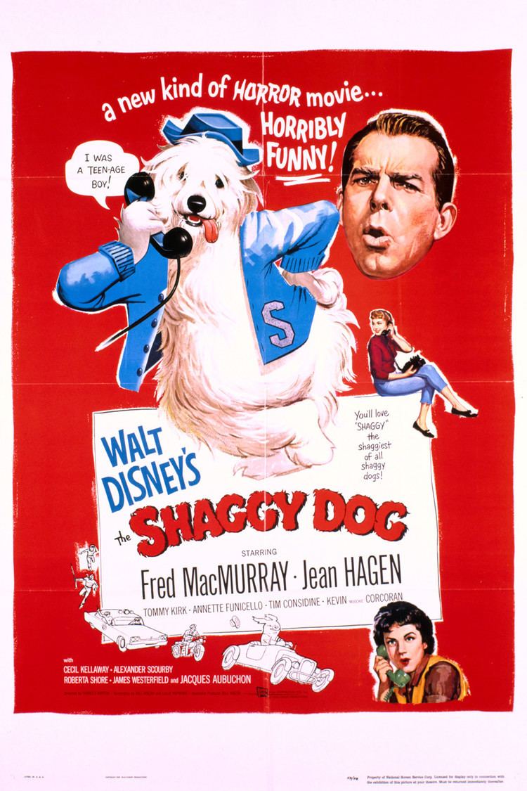 The Shaggy Dog (1959 film) wwwgstaticcomtvthumbmovieposters5824p5824p