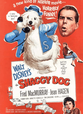 The Shaggy Dog (1959 film) The Shaggy Dog 1959 film Wikipedia