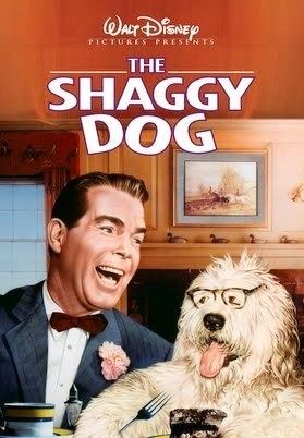 The Shaggy Dog (1959 film) The Shaggy Dog Trailer YouTube