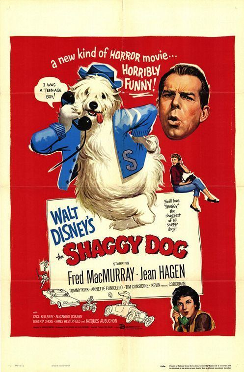 The Shaggy Dog (1959 film) The Shaggy Dog 1959 Find your film movie recommendation movie