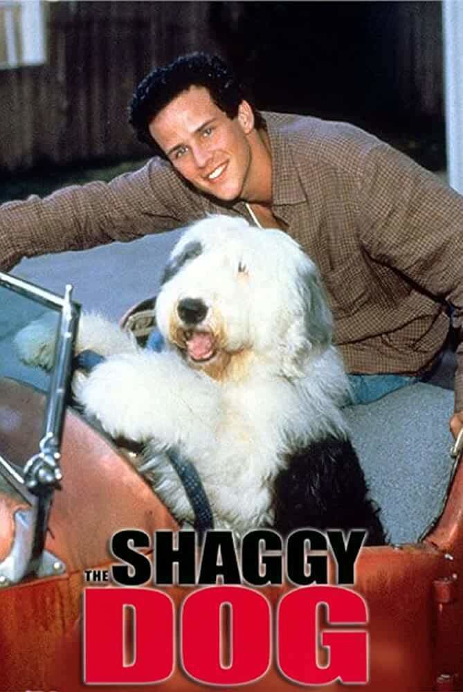 The Shaggy Dog (1994 film) The Shaggy Dog (1994 film)