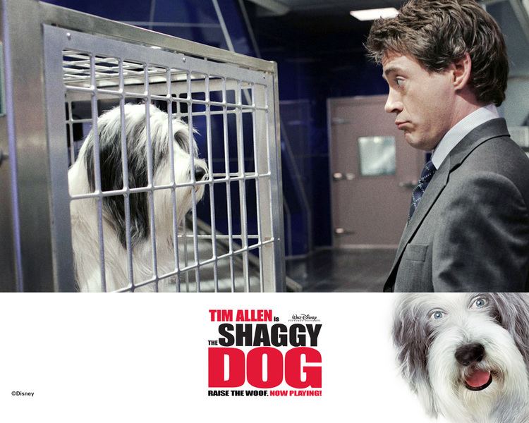 The Shaggy Dog (2006 film) The Shaggy Dog