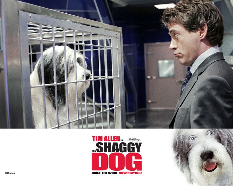 The Shaggy Dog (2006 film) - Alchetron, the free social encyclopedia