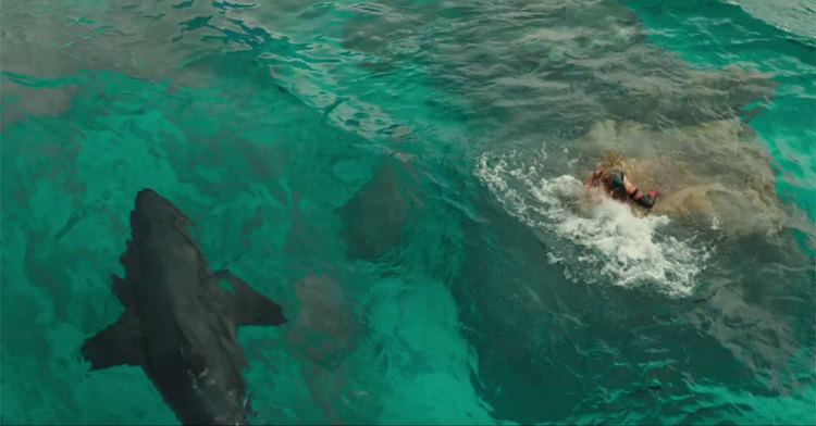 The Shallows (film) Watch the full trailer for shark thriller 39The Shallows39