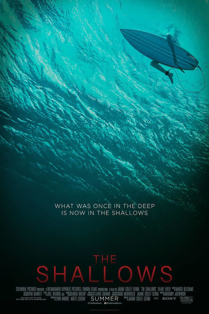 The Shallows (film) t0gstaticcomimagesqtbnANd9GcSOhJNLsS4dpZcdP