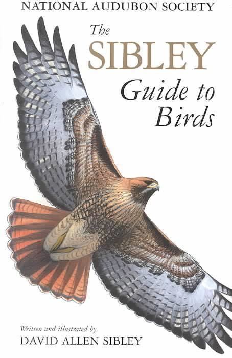 The Sibley Guide to Birds t2gstaticcomimagesqtbnANd9GcTWoEajuClLuIxbBI