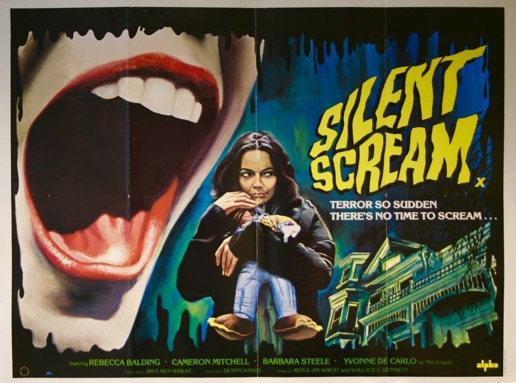 The Silent Scream (1979 film) Silent Scream Movie Poster Vintage Movie Poster