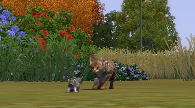 The Sims 3: Pets The Sims 3 Pets EA