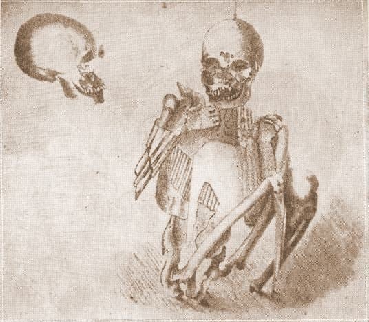 The Skeleton in Armor Skeleton In Armor Access Genealogy