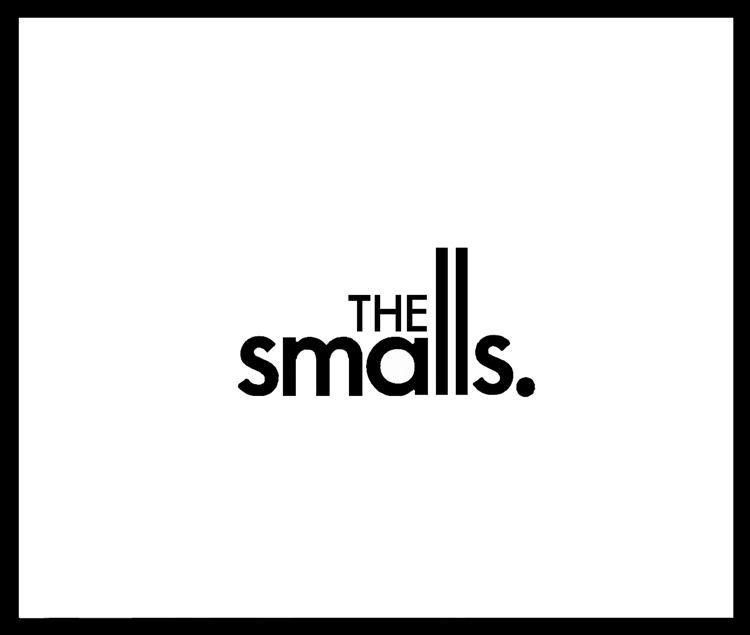 The Smalls The Feedback Society Interview Terry Johnson The Smalls