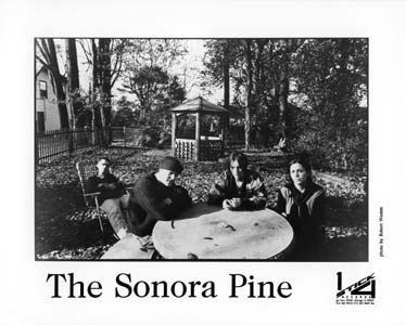 The Sonora Pine wwwtouchandgorecordscomimagesbandsfull711jpg