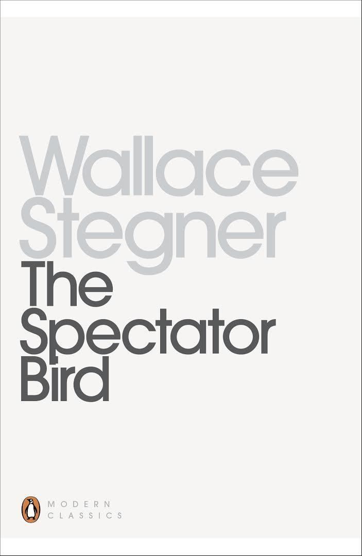 The Spectator Bird t3gstaticcomimagesqtbnANd9GcS9vGR17A5peTrHF