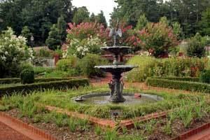 The State Botanical Garden of Georgia