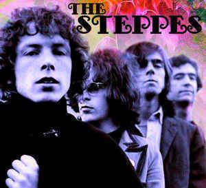 The Steppes (band) httpsimgdiscogscomujDkEIyjAnBMOjncveCDdVjR