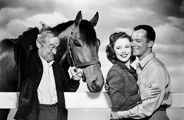 The Story of Seabiscuit The Story of Seabiscuit 1949