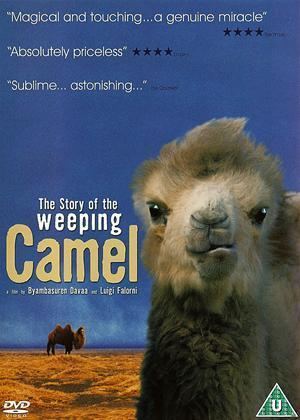 The Story of the Weeping Camel Rent The Story of the Weeping Camel aka Die Geschichte vom
