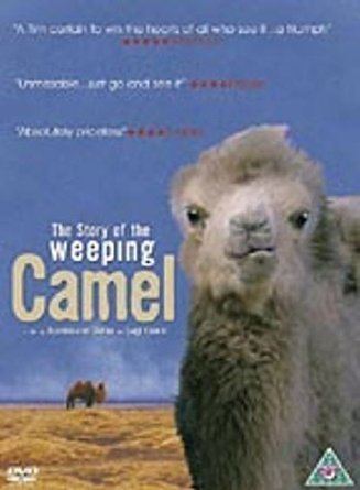 The Story of the Weeping Camel The Story Of The Weeping Camel 2004 DVD Amazoncouk Janchiv