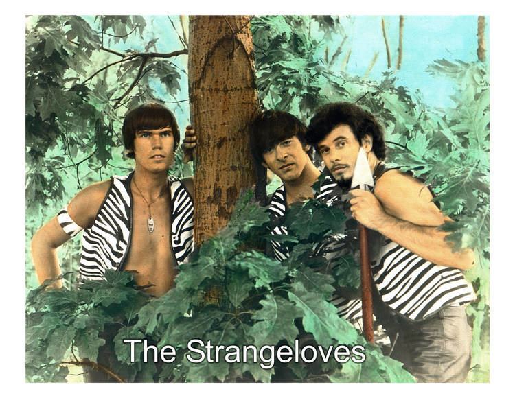 The Strangeloves Remember The Strangeloves