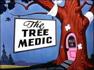 The Tree Medic movie poster
