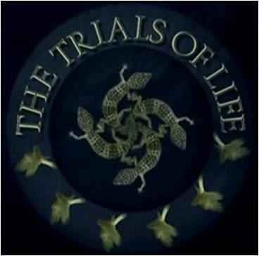 The Trials of Life Books and Films The Trials of Life A Natural History of Behaviour