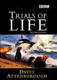 The Trials of Life The Trials of Life Wikipedia