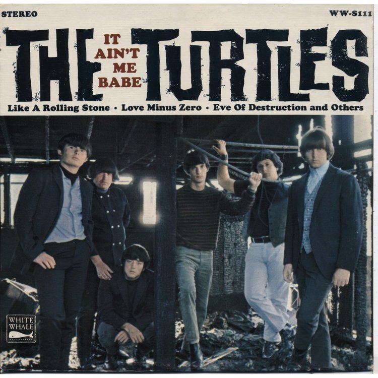 The Turtles The Turtles began a meteoric rise to 1960s music stardom in