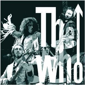 The Ultimate Collection (The Who album) wwwprogarchivescomprogressiverockdiscography