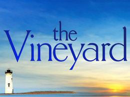 The Vineyard (TV series) The Vineyard TV series Wikipedia