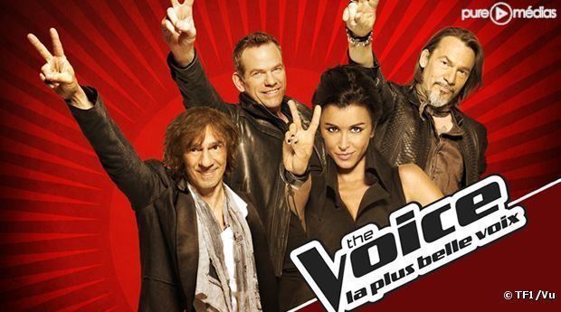 The Voice: la plus belle voix The Voice la plus belle voixquot succs d39audience et financier pour TF1