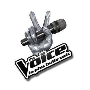 The Voice: la plus belle voix (season 1)