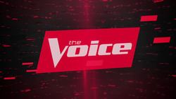 The Voice (U.S. TV series) The Voice US TV series Wikipedia