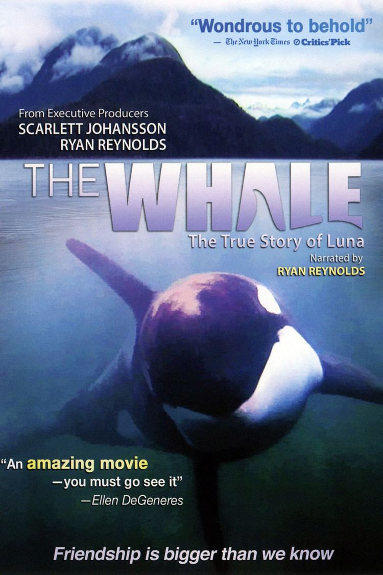 The Whale (2011 film) wwwgstaticcomtvthumbdvdboxart8743214p874321