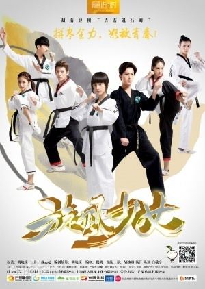 Hu Bingqing, Yang Yang, Chen Xiang, Bai Jingting, and the other cast in the Promotional Poster of the 2015 Chinese television series, The Whirlwind Girl